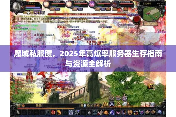 魔域私服魔，2025年高爆率服务器生存指南与资源全解析