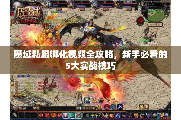 魔域私服孵化视频全攻略，新手必看的5大实战技巧
