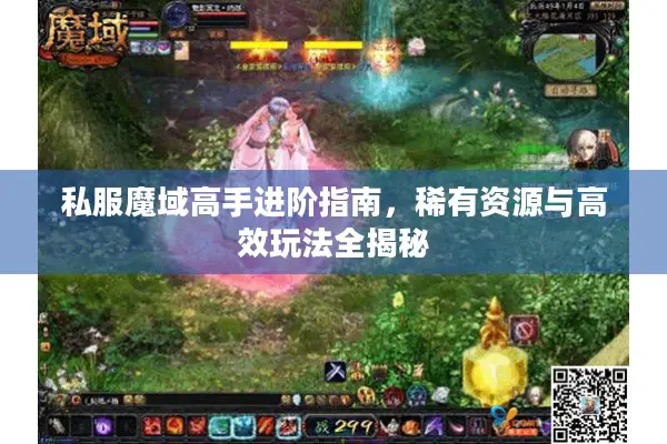 私服魔域高手进阶指南，稀有资源与高效玩法全揭秘