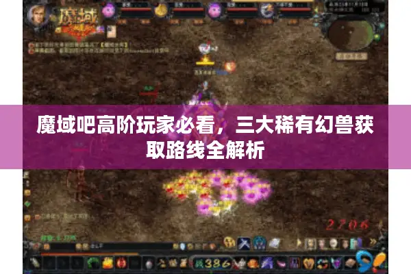 魔域吧高阶玩家必看，三大稀有幻兽获取路线全解析