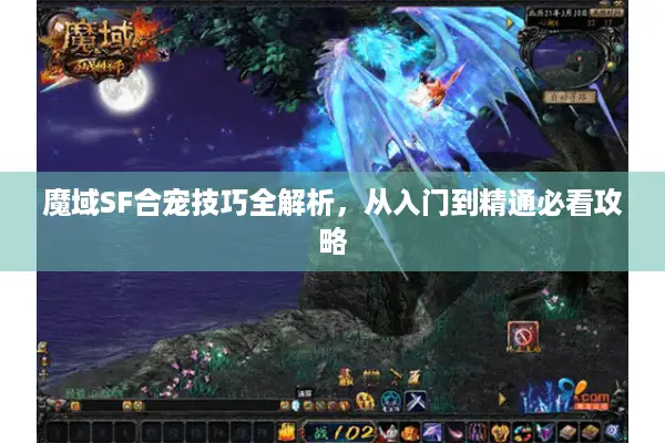 魔域SF合宠技巧全解析，从入门到精通必看攻略
