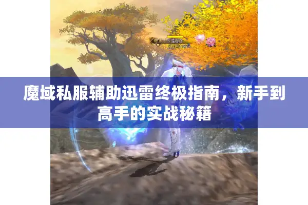 魔域私服辅助迅雷终极指南，新手到高手的实战秘籍