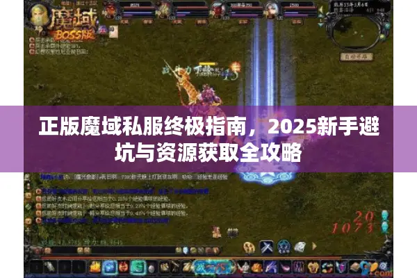 正版魔域私服终极指南，2025新手避坑与资源获取全攻略