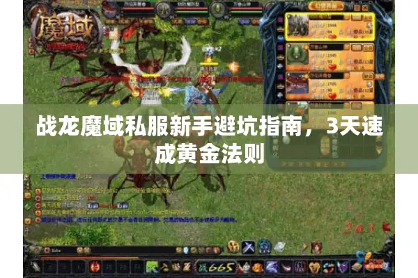 战龙魔域私服新手避坑指南，3天速成黄金法则
