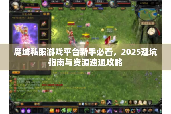 魔域私服游戏平台新手必看，2025避坑指南与资源速通攻略