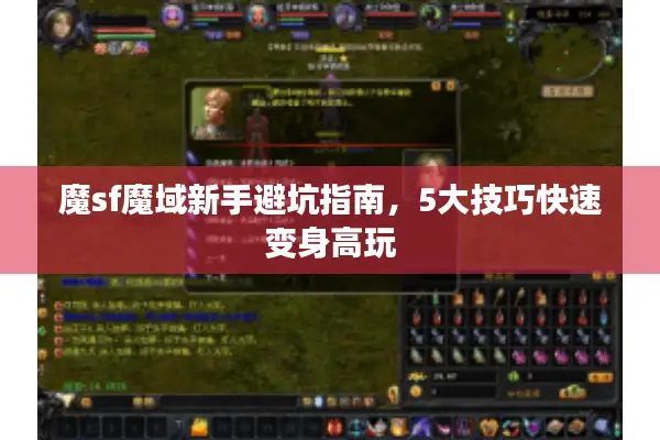 魔sf魔域新手避坑指南，5大技巧快速变身高玩