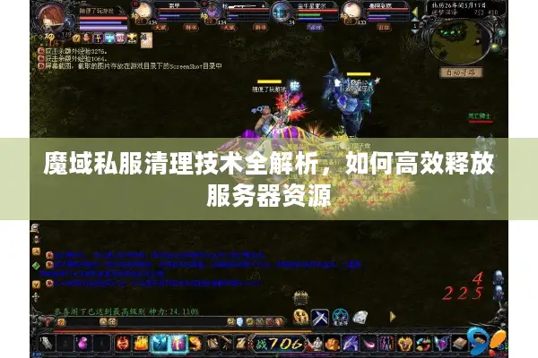 魔域私服清理技术全解析，如何高效释放服务器资源