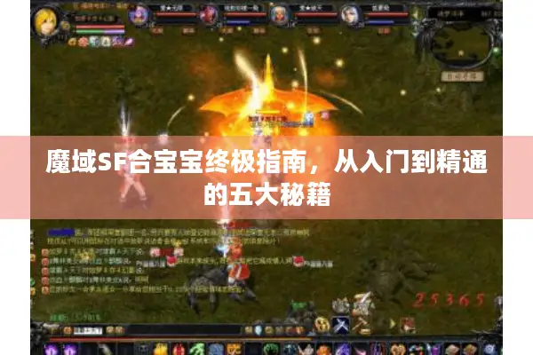 魔域SF合宝宝终极指南，从入门到精通的五大秘籍