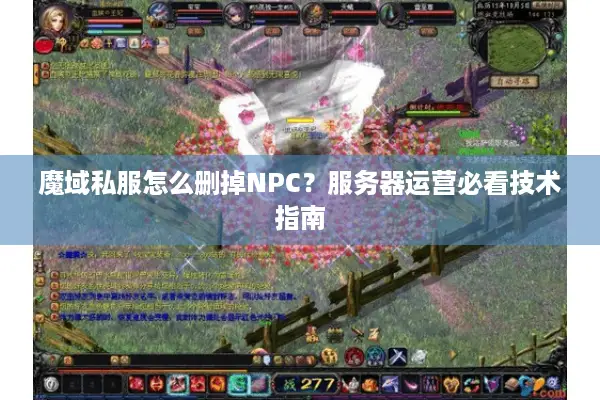 魔域私服怎么删掉NPC？服务器运营必看技术指南