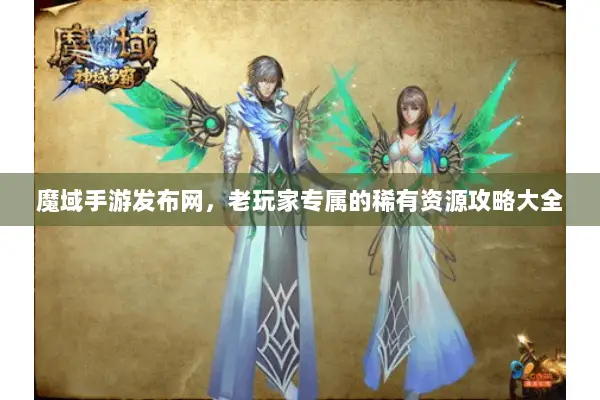 魔域手游发布网，老玩家专属的稀有资源攻略大全