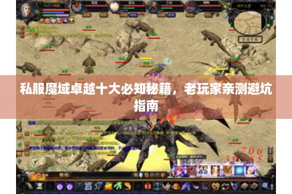 私服魔域卓越十大必知秘籍，老玩家亲测避坑指南