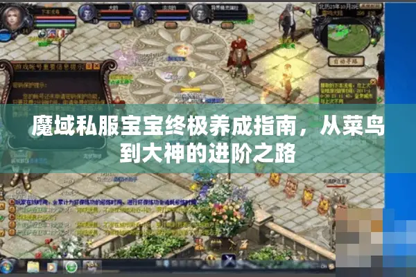 魔域私服宝宝终极养成指南，从菜鸟到大神的进阶之路