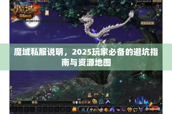 魔域私服说明，2025玩家必备的避坑指南与资源地图