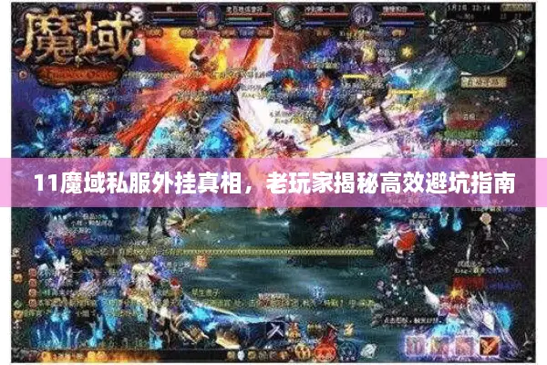 11魔域私服外挂真相，老玩家揭秘高效避坑指南