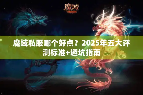 魔域私服哪个好点？2025年五大评测标准+避坑指南