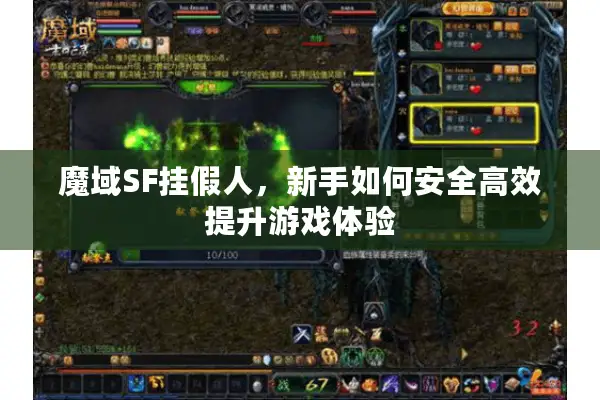 魔域SF挂假人，新手如何安全高效提升游戏体验
