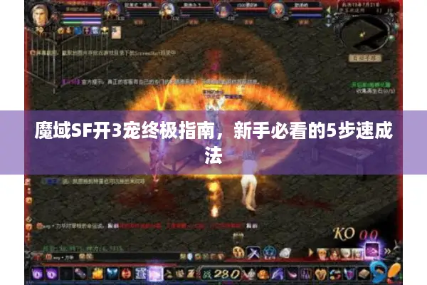 魔域SF开3宠终极指南，新手必看的5步速成法