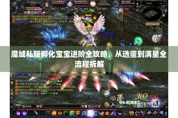 魔域私服孵化宝宝进阶全攻略，从选蛋到满星全流程拆解