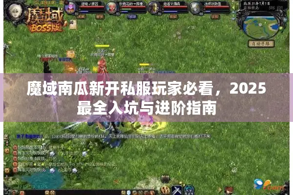 魔域南瓜新开私服玩家必看，2025最全入坑与进阶指南