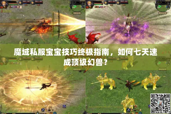 魔域私服宝宝技巧终极指南，如何七天速成顶级幻兽？