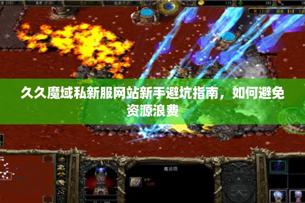 久久魔域私新服网站新手避坑指南，如何避免资源浪费