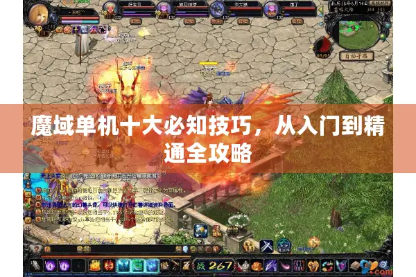 魔域单机十大必知技巧，从入门到精通全攻略