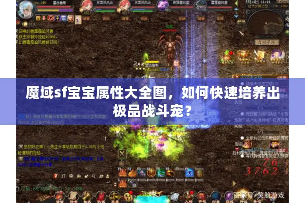 魔域sf宝宝属性大全图，如何快速培养出极品战斗宠？