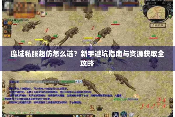 魔域私服超仿怎么选？新手避坑指南与资源获取全攻略
