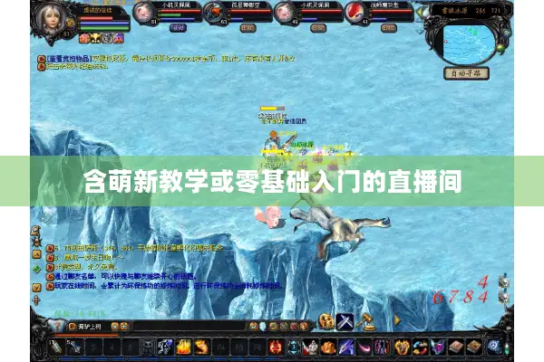 含萌新教学或零基础入门的直播间