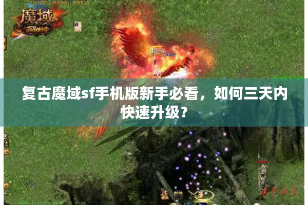 复古魔域sf手机版新手必看，如何三天内快速升级？