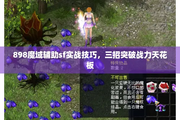 898魔域辅助sf实战技巧，三招突破战力天花板