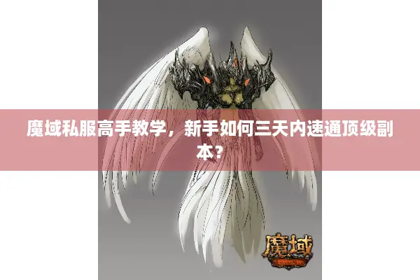 魔域私服高手教学，新手如何三天内速通顶级副本？