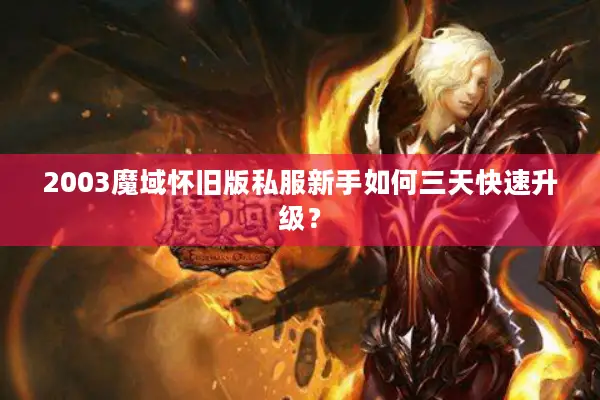 2003魔域怀旧版私服新手如何三天快速升级？