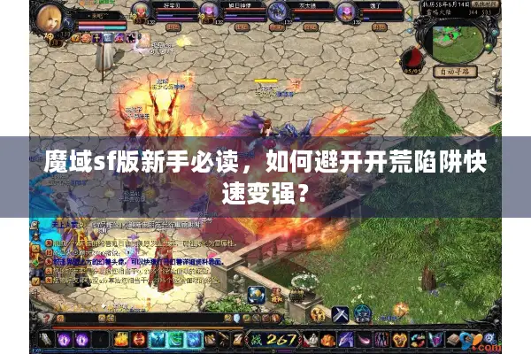魔域sf版新手必读，如何避开开荒陷阱快速变强？