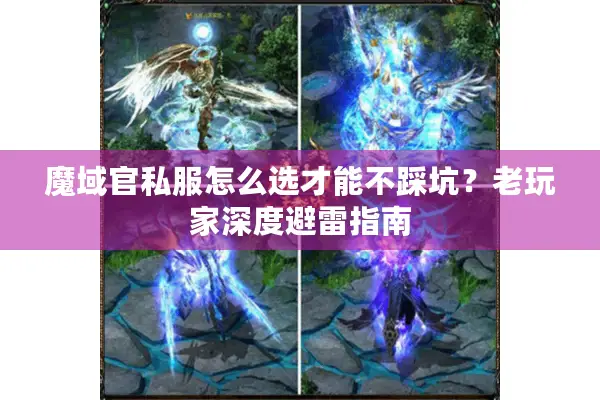 魔域官私服怎么选才能不踩坑？老玩家深度避雷指南