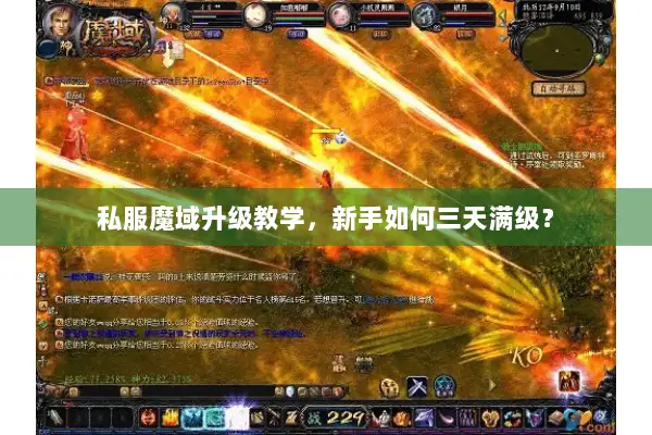 私服魔域升级教学,新手如何三天满级? 私服魔域升级教学,新手如何三天满级?