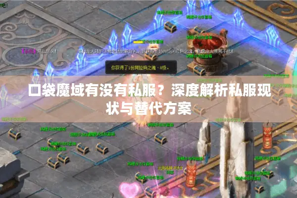 口袋魔域有没有私服？深度解析私服现状与替代方案