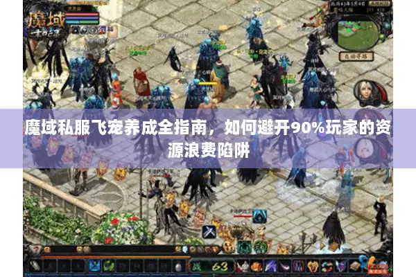 魔域私服飞宠养成全指南，如何避开90%玩家的资源浪费陷阱