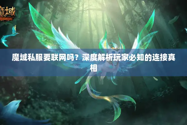 魔域私服要联网吗？深度解析玩家必知的连接真相