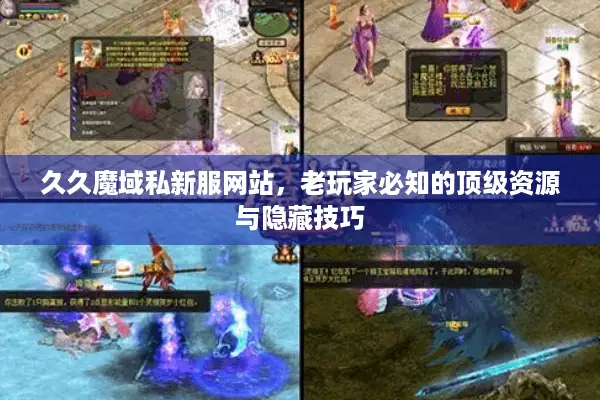 久久魔域私新服网站，老玩家必知的顶级资源与隐藏技巧