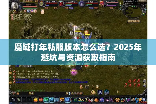 魔域打年私服版本怎么选？2025年避坑与资源获取指南