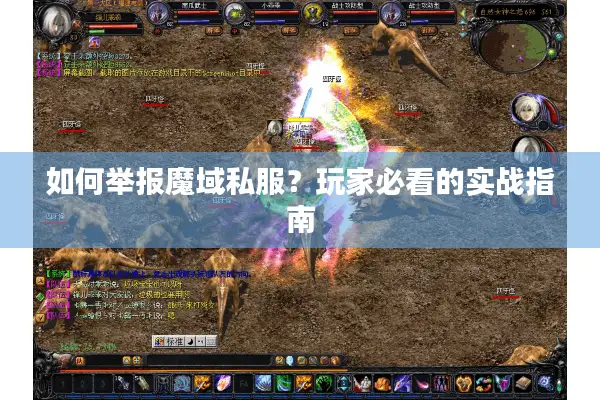 如何举报魔域私服？玩家必看的实战指南