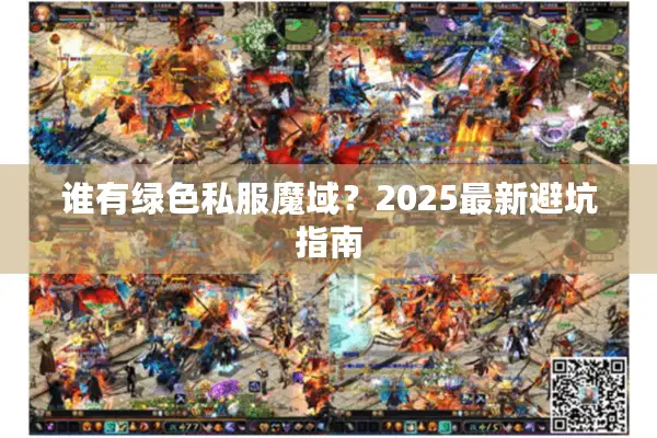 谁有绿色私服魔域？2025最新避坑指南
