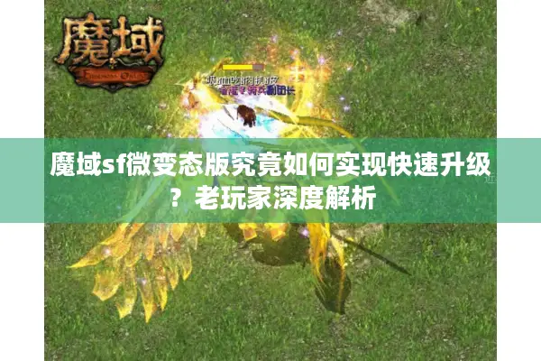 魔域sf微变态版究竟如何实现快速升级？老玩家深度解析