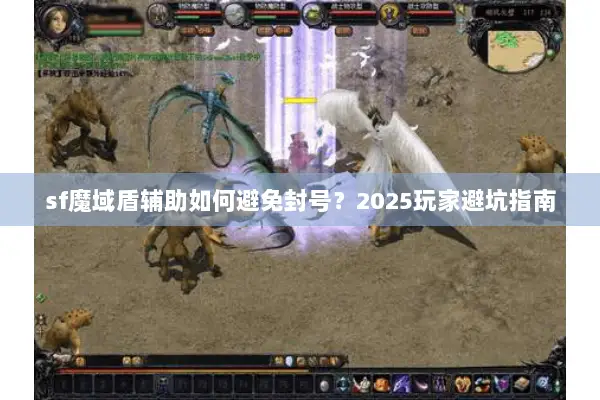 sf魔域盾辅助如何避免封号？2025玩家避坑指南