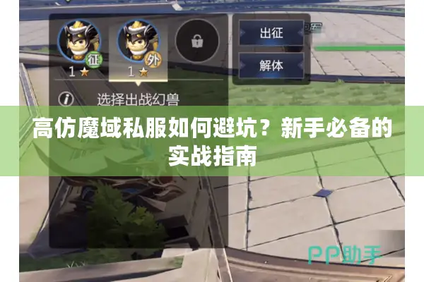 高仿魔域私服如何避坑？新手必备的实战指南