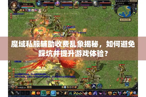 魔域私服辅助收费乱象揭秘，如何避免踩坑并提升游戏体验？
