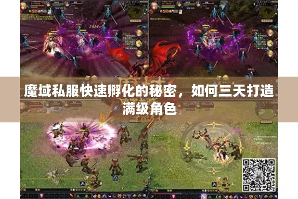 魔域私服快速孵化的秘密，如何三天打造满级角色