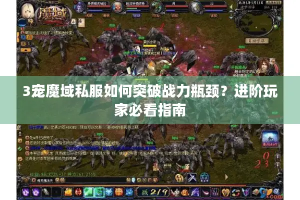 3宠魔域私服如何突破战力瓶颈？进阶玩家必看指南