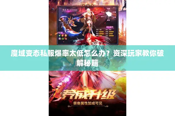 魔域变态私服爆率太低怎么办？资深玩家教你破解秘籍